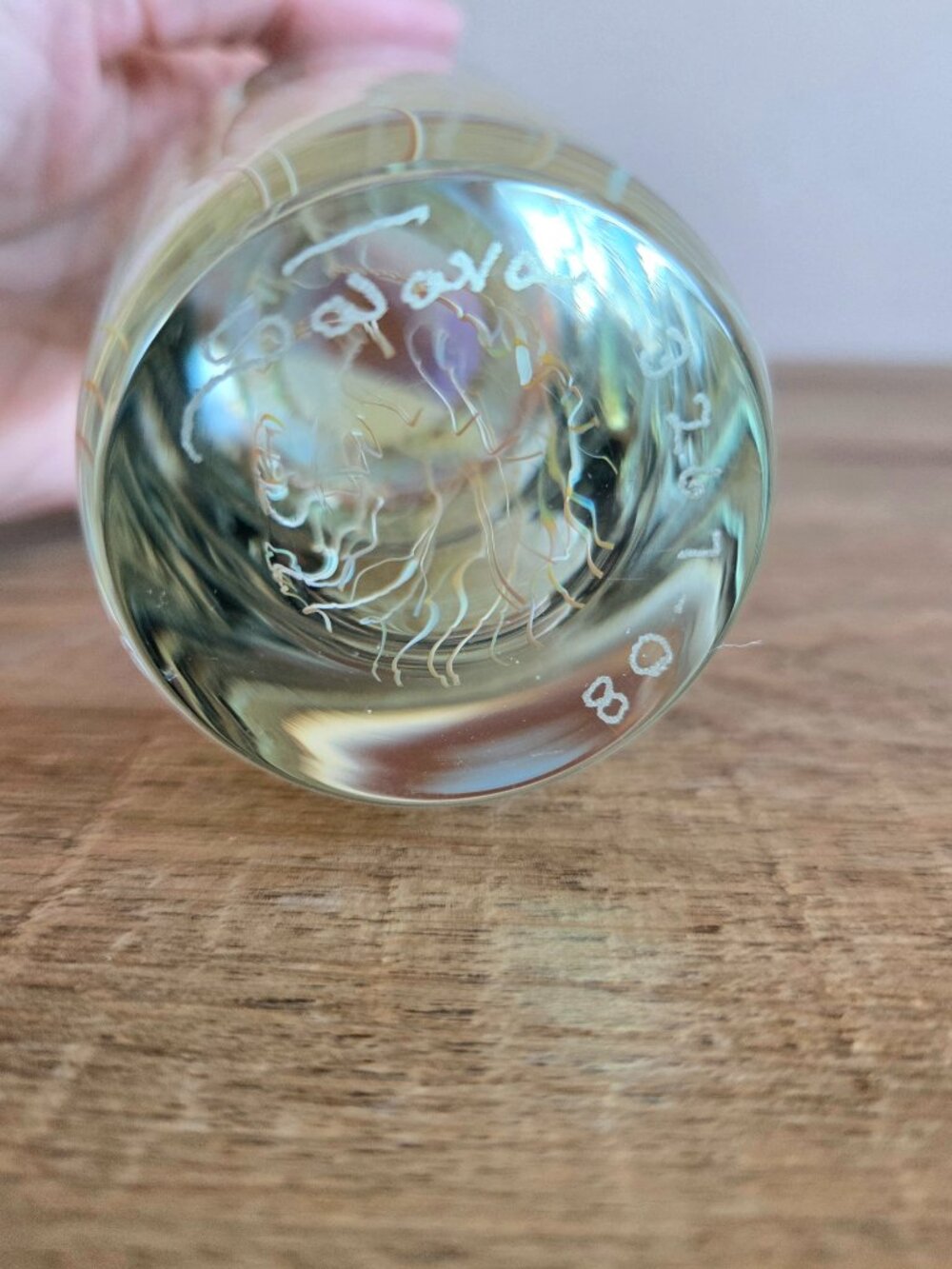 Vintage Signed Richard Satava 3267-08 Jellyfish collection Paperweight - Picture 8 of 8